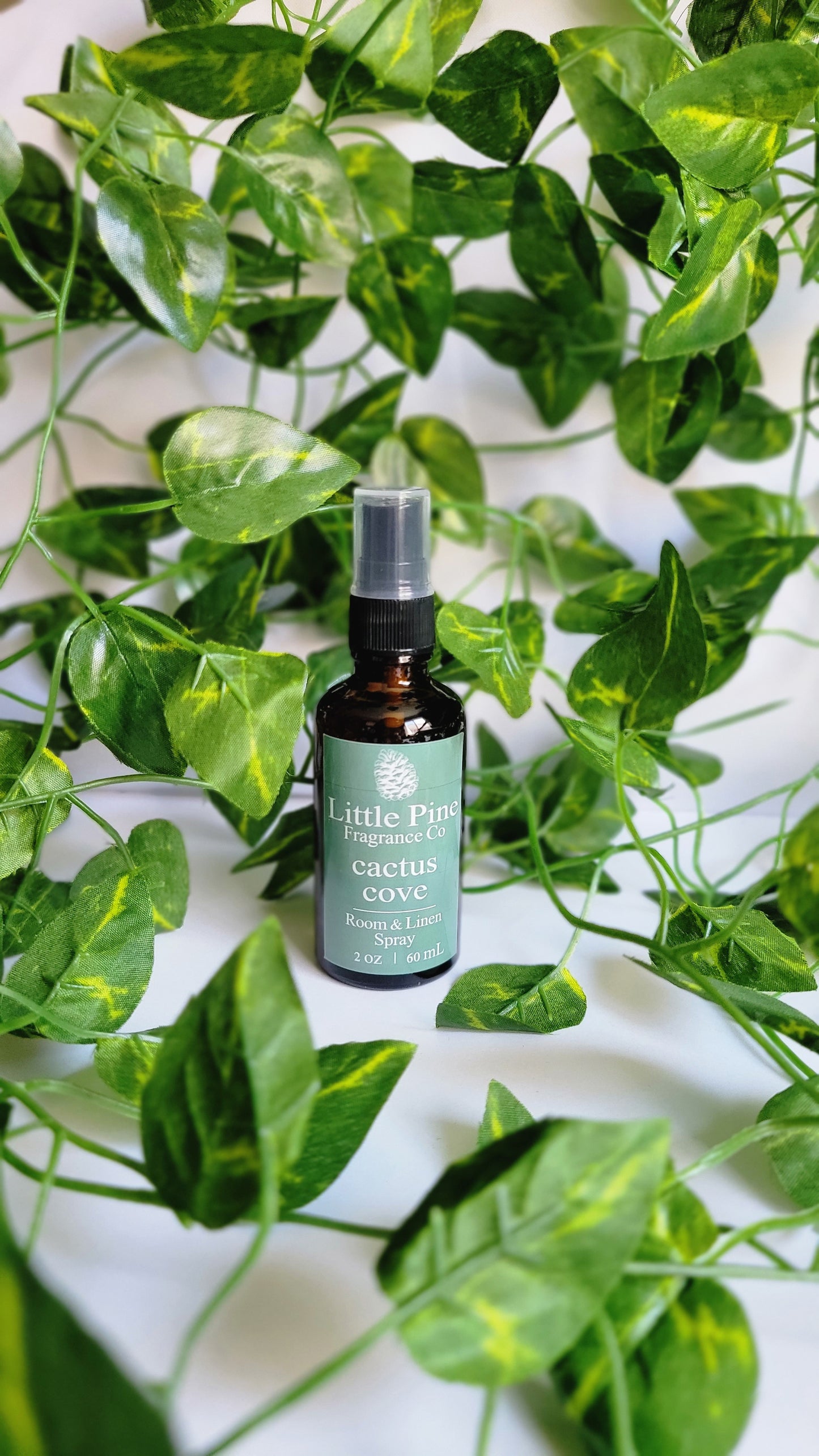 Cactus Cove - Room & Linen Spray