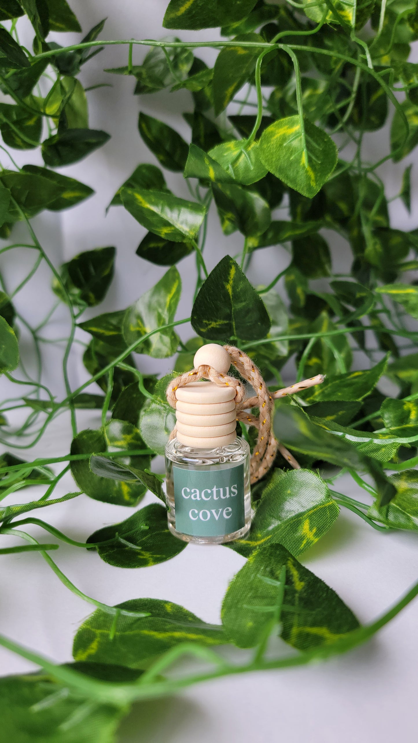 Cactus Cove - Car Diffuser