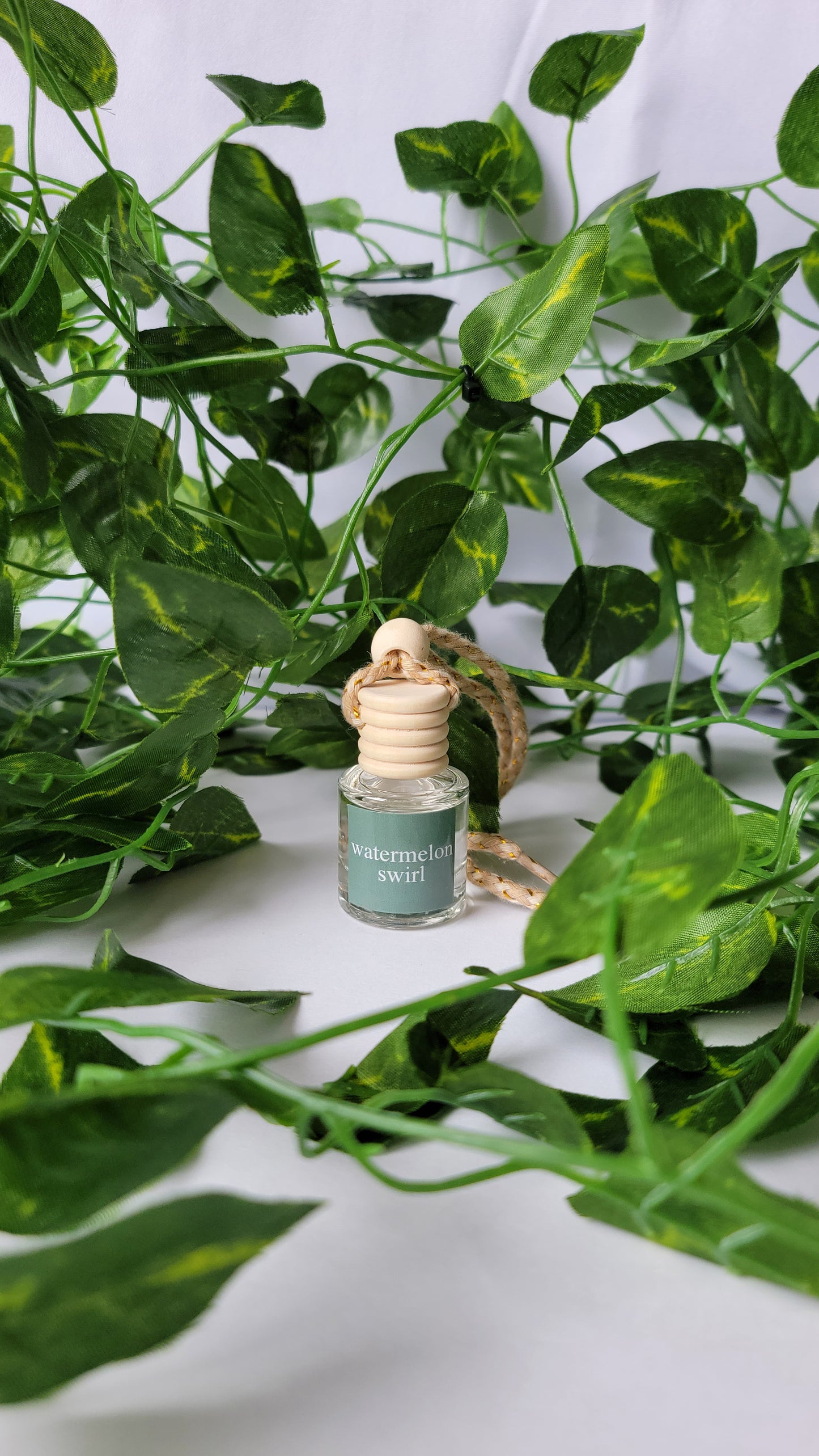 Watermelon Swirl - Car Diffuser